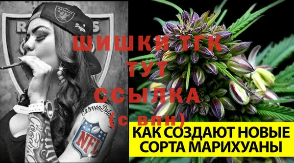 винт Елабуга