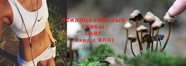 винт Елабуга