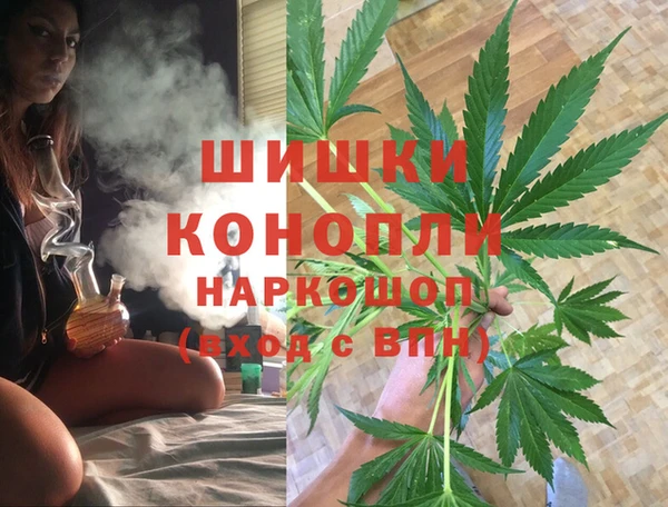 метамфетамин Ельня