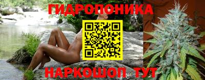 шишки Севастополь