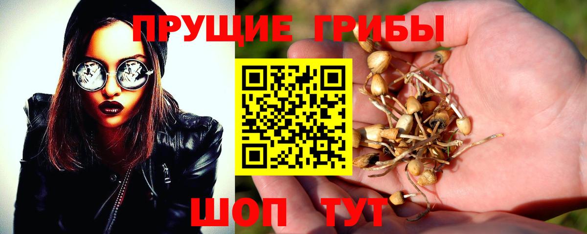 Тосно  Галлюциногенные грибы мухоморы  Вход с VPN 